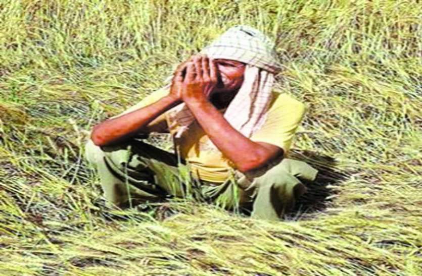 Farming विज्ञान का ताण्डव