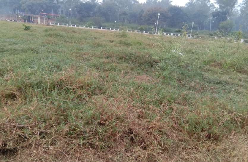 park यहां के पार्क में हरियाली नहीं सूखी घास होती है