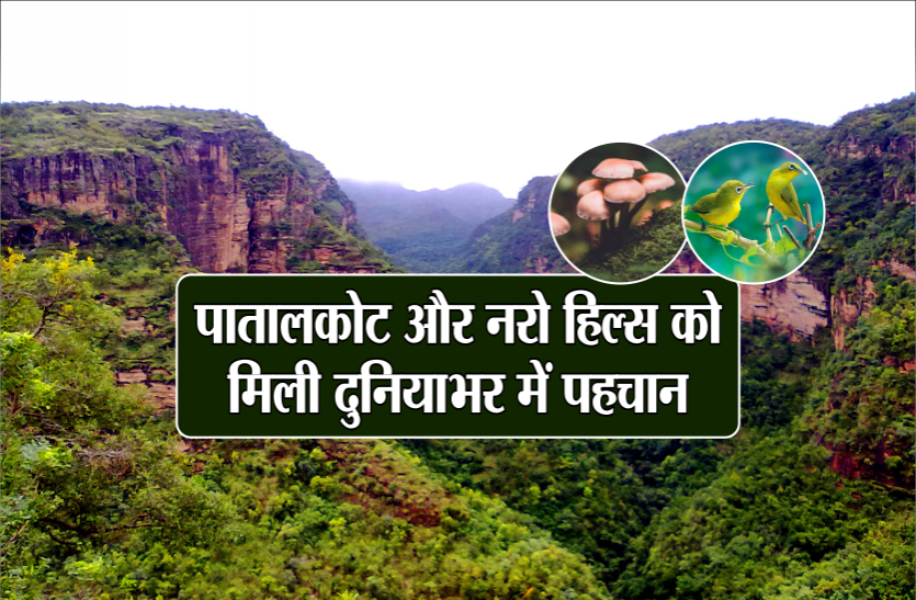informative news पातालकोट और नरो हिल्स को मिली दुनियाभर में पहचान, इस खास विरासत को सहेजेगी सरकार