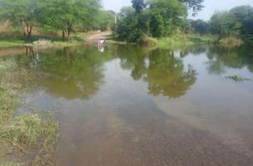 Water on the culvert, 12 villages villagers reaching Mukan determined पुलिया पर पानी, चक्कर खाकर निर्धारित मुकान पहुंच रहे 12 गांव के ग्रामीण