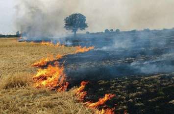 1.65 thousand fine for 64 farmers who burn parali पराली जलाने वाले 64 किसानों से वूसला 1.65 हजार अर्थदण्ड, 8 लेखपालों को कारण बताओ नोटिस जारी