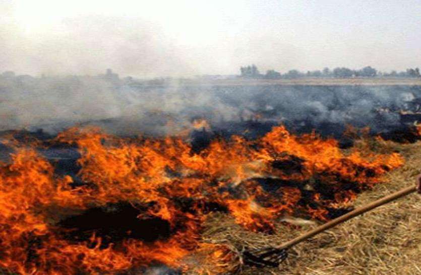 kisan.jpg रामपुर में 11 किसान गिरफ्तार, 74 किसानों पर करीब 3 लाख का जुर्माना