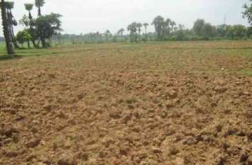 Possibility of increasing area under wheat due to good rains अच्छी बारिश के चलते गेहूं का रकबा बढऩे की संभावना