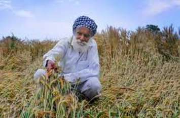 Central Government's late land is falling heavily on farmers केंद्र सरकार की ‘लेटलतीफी’ धरतीपुत्रों पर पड़ रही भारी