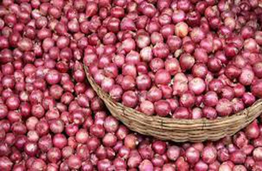 Govt took decision to Import 6000 ton onion जल्द कम होंगी प्याज की कीमतें, सरकार ने उठाया बड़ा कदम