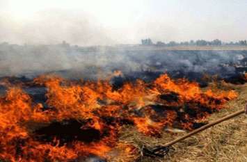 Fir on sapa mlc ghanshyam singh lodhi for paraali burned पराली जलाने में फंसे सपा MLC, प्रशासन ने दर्ज करवा दिया मुकदमा