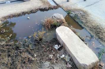 Dirty water is spreading due to accumulation of garbage in drains नालियों में जमा कचरा, सडक़ पर गहरे गड्ढे, घरों के बाहर जमा हो रहा पानी