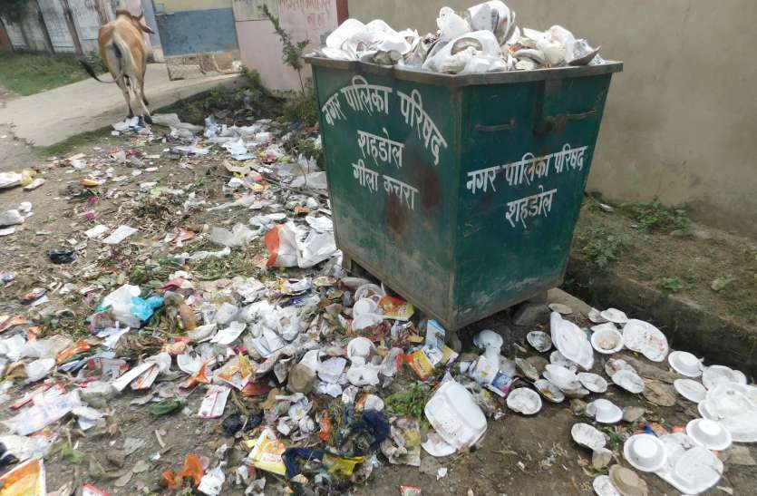 The problem of drainage is not the lifting of wasteनाली बनी परेशानी कचरे का नहीं हो रहा उठाव नाली बनी परेशानी कचरे का नहीं हो रहा उठाव