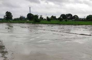 NGT affidavit after oversight committee from Singrauli company कंपनियां शपथ पत्र देने में कर रही आनाकानी