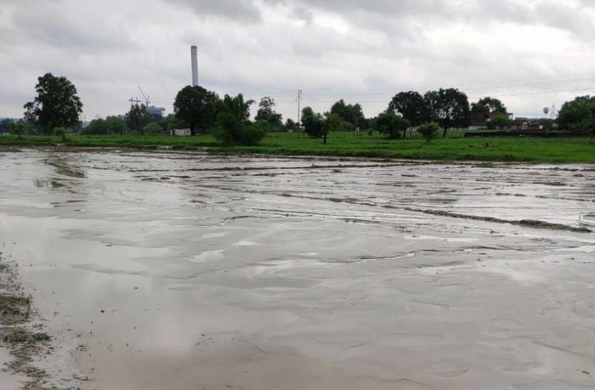 NGT affidavit after oversight committee from Singrauli company कंपनियां शपथ पत्र देने में कर रही आनाकानी