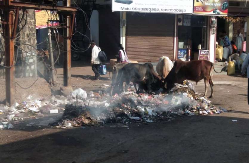 Worry about ranking: अफसरों के यहां चाकरी, कैसे सुधरे शहर की साफ-सफाई व्यवस्था, रैंकिंग को लेकर चिंता Worry about ranking: अफसरों के यहां चाकरी, कैसे सुधरे शहर की साफ-सफाई व्यवस्था, रैंकिंग को लेकर चिंता