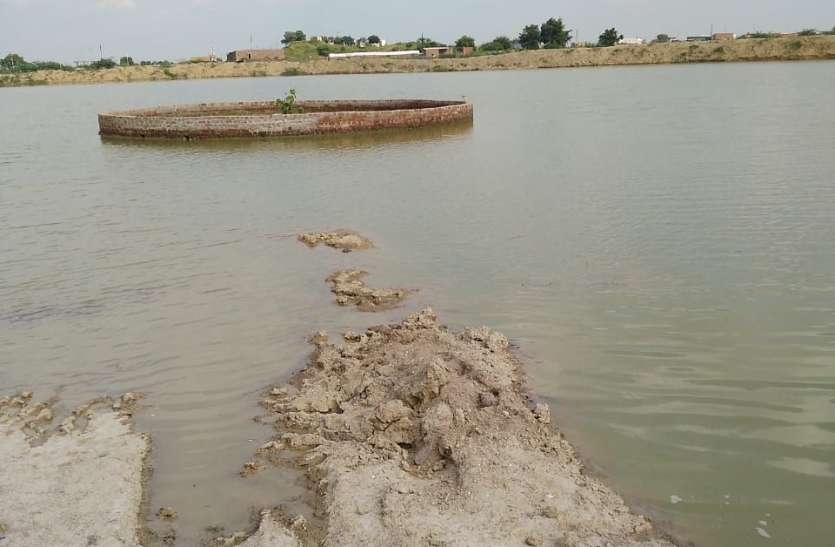The first bird park of the state is being incomplete in the city limits अधूरा रह गया शहर की सीमा में बन रहा प्रदेश का पहला बर्ड पार्क