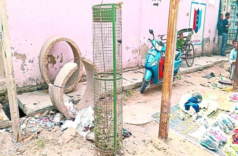 विकास की बली चढ़े डिवाइडर पर लगाए पेड़ विकास की बली चढ़े डिवाइडर पर लगाए पेड़