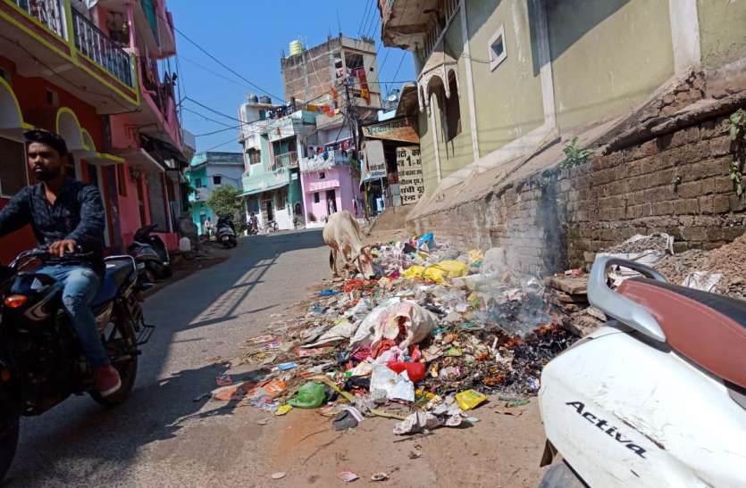 बेदम हो गई नपा की सफाई व्यवस्था बेदम हो गई नपा की सफाई व्यवस्था