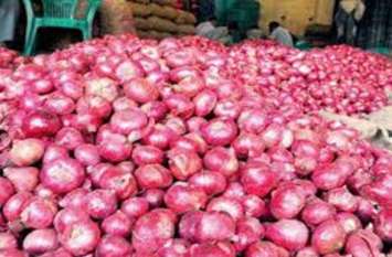 Alwar onion starts arriving in Jaipur market prices will come down जयपुर मंडी में अलवर के प्याज की आवक शुरु होते ही, भावों में आएगी कमी