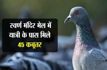Rail staff caught 45 pigeon from passenger स्वर्ण मंदिर मेल में यात्री के पास मिले 45 कबूतर,तस्करी का अंदेशा