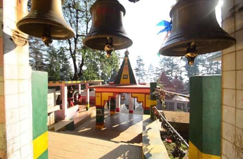 कभी इस पेड़ से हर रात को माता काली लगाती थीं, भगवान विष्णु और शिव को आवाज