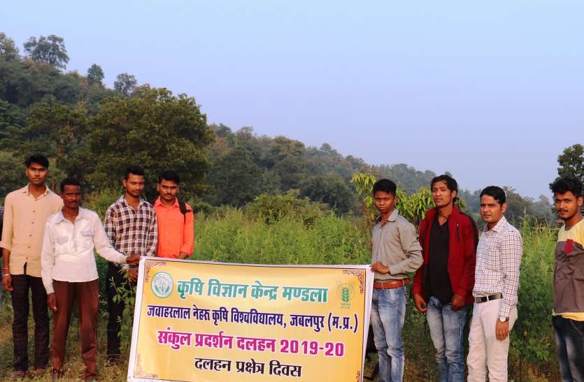 मनाया गया अरहर प्रक्षेत्र दिवस मनाया गया अरहर प्रक्षेत्र दिवस