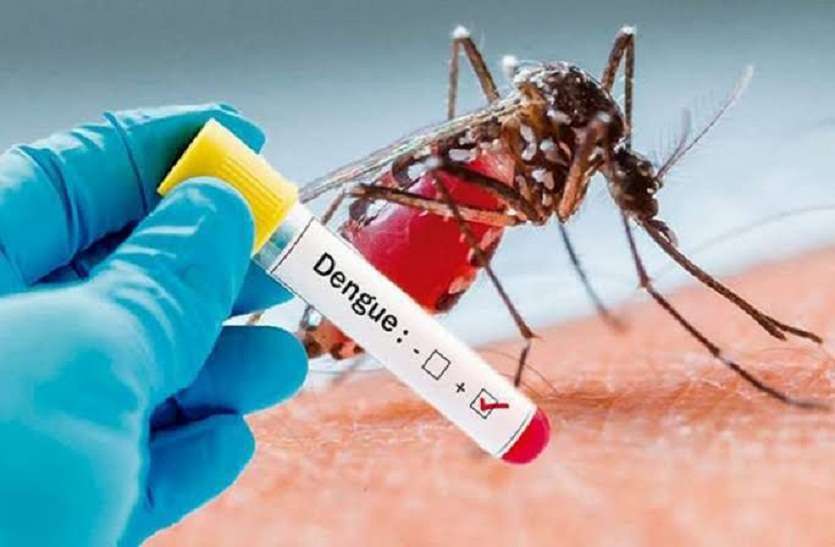 https://www.patrika.com/raisen-news/dengue-attacks-in-your-city-and-its-treatment-in-hindi-5347598/