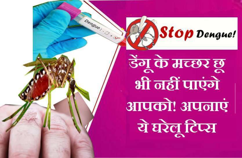 https://www.patrika.com/bhopal-news/prevent-of-dengue-malaria-chikungunya-mosquitoes-in-hindi-1-3544687/