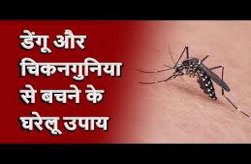https://www.patrika.com/bhopal-news/how-to-increase-your-stamina-immunity-through-ayurveda-4849134/