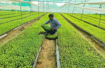Farmers must read these news, you will get big profits खेती बाड़ी करने वाले ये खबर जरूर पढ़े, मिलेगा मोटा मुनाफा