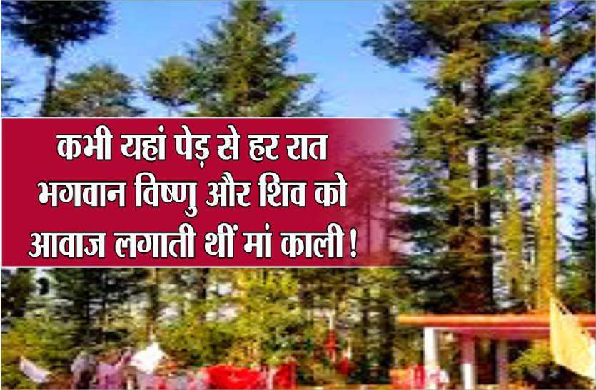 कभी इस पेड़ से हर रात को माता काली लगाती थीं, भगवान विष्णु और शिव को आवाज कभी इस पेड़ से हर रात को माता काली लगाती थीं, भगवान विष्णु और शिव को आवाज