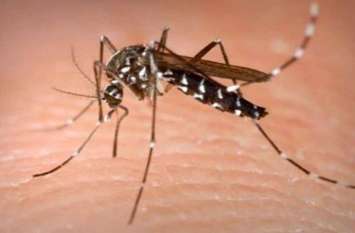 Malaria patients are getting every month 19 हजारों घरों में पहुंचे लेकिन कहीं पर नहीं मिला मच्छरों का लार्वा लेकिन हर माह मिल रहे मलेरिया के मरीज