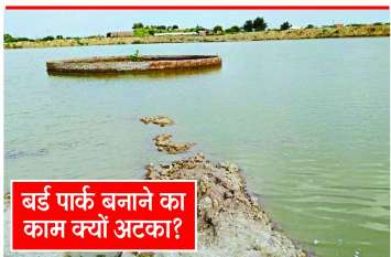 Desolation before the state's first bird park अफसरों की अनदेखी: प्रदेश का पहला बर्ड पार्क बनने से पहले ही उजड़ा