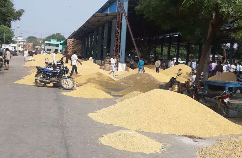 केन्द्र पर पसरा सन्नाटा, भाव कम मिलने से मोह भंग... केन्द्र पर पसरा सन्नाटा, भाव कम मिलने से मोह भंग...