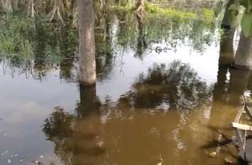increase in water level of momor jheel इस झील में बढ़ा जलस्तर तो लोग हो गए परेशान, सरकार से कर दी बड़ी मांग, देखें वीडियो
