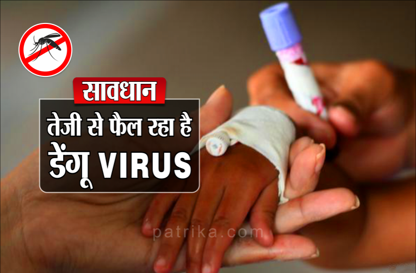 dengue spread rapidly सावधान : तेजी से फैल रहा है डेंगू संक्रमण, इस शहर में रहना खतरे से खाली नहीं
