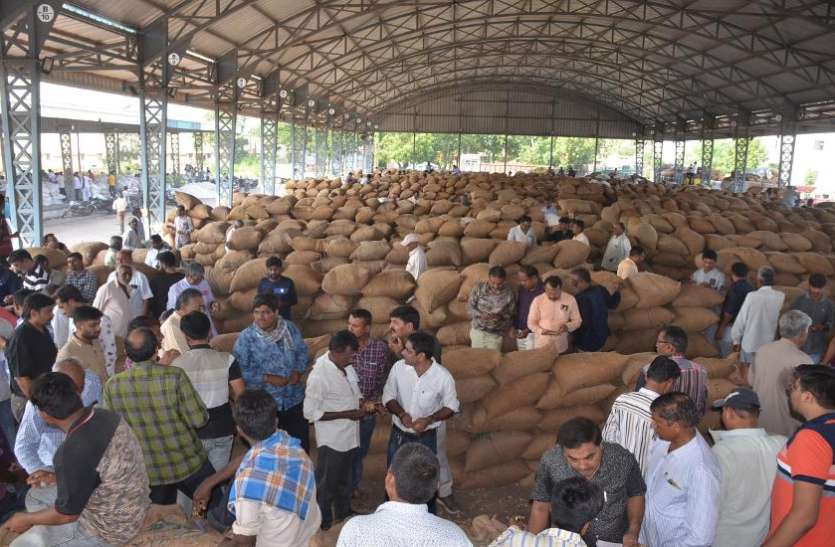 Groundnut : जामनगर यार्ड में मूंगफली रखने की जगह का अभाव, आवक बंद कराई Groundnut : जामनगर यार्ड में मूंगफली रखने की जगह का अभाव, आवक बंद कराई