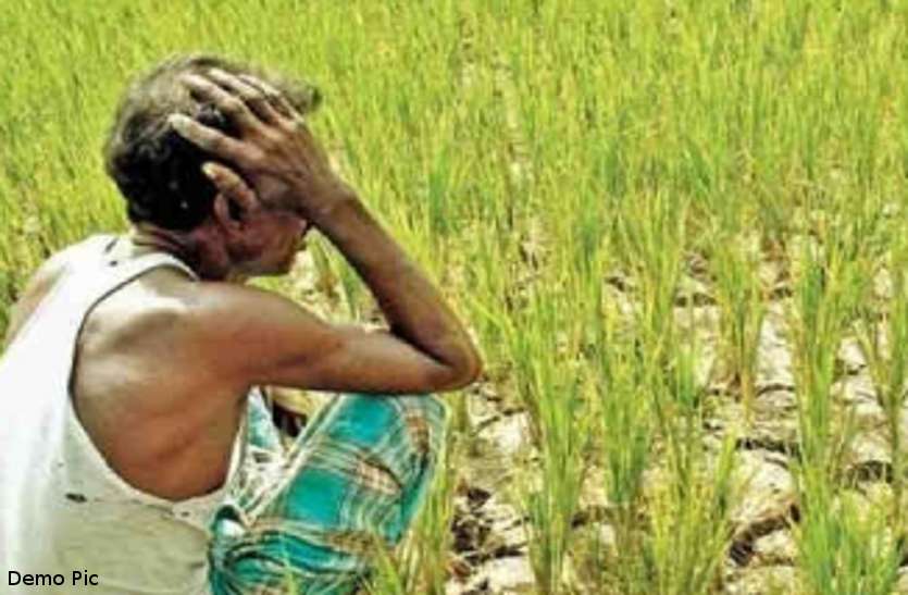 kisan.jpg किसान कर्ज माफी के लिए ग्लोबल पोर्टल पर अभी मात्र 537 रुपए का बैलेंस