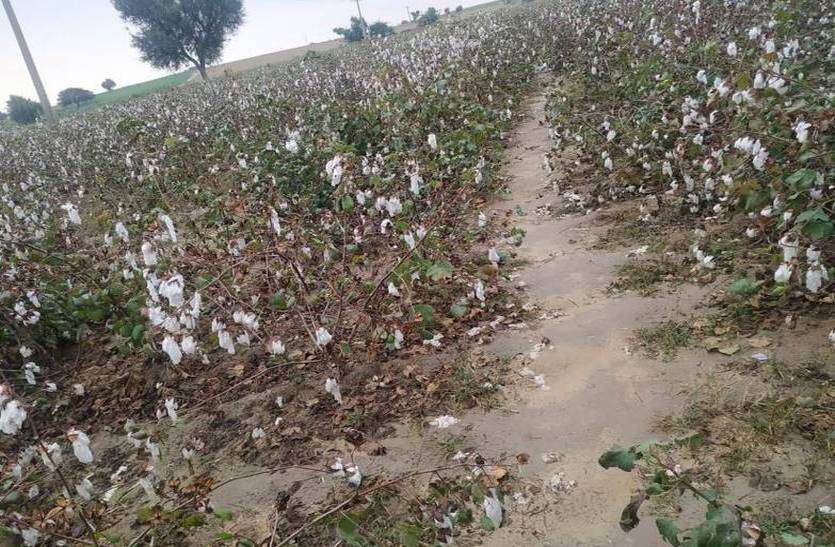 Rain in rural area