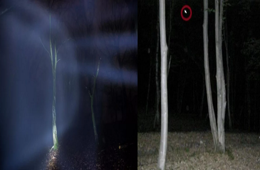 forest सावधान! इस डरावने जंगल में कभी ना जाना, नहीं तो फिर होगा मौत से सामना…