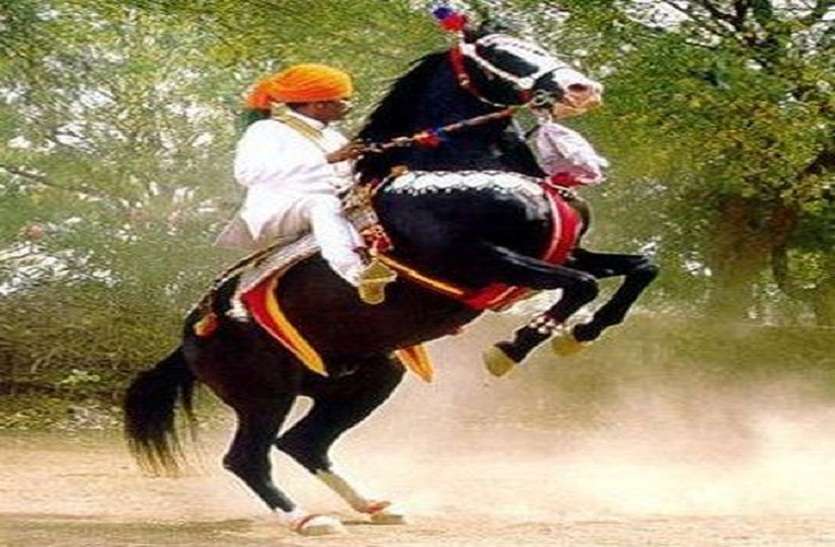 हॉर्स शो में नायाब करतब दिखाएंगे 'घोड़े' हॉर्स शो में नायाब करतब दिखाएंगे 'घोड़े'