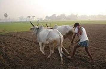 More than 27 thousand farmers still waiting for debt waiver 27 हजार से अधिक किसानों को अभी भी कर्जामाफी का इंतजार