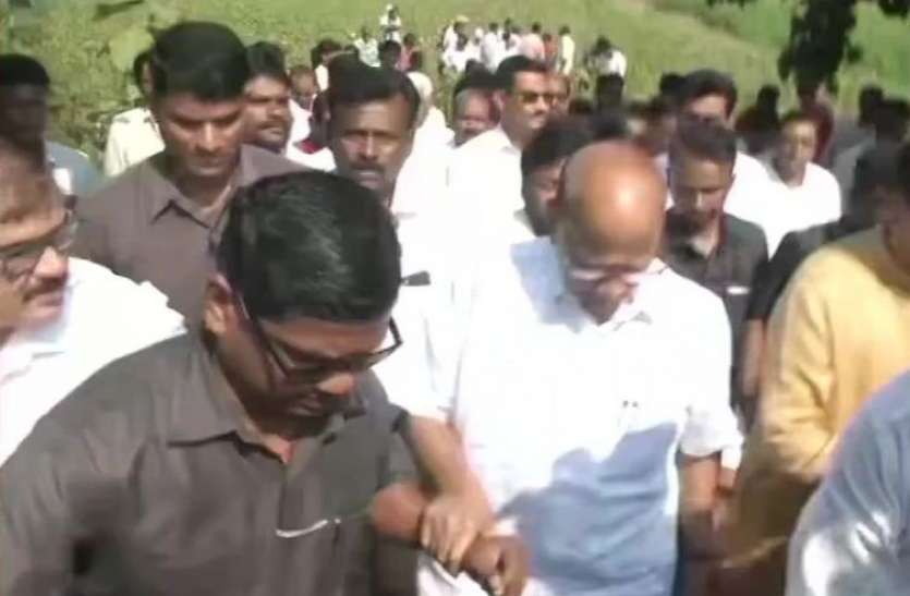 Maharashtra NCP Chief Sharad Pawar Visit Nagpur Rain Affected Farms - महाराष्ट्र में सियासी संकट के बीच शरद पवार पहुंचे नागपुर, किया ये काम | Patrika News