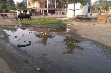 Cleanliness in villages, dirt flowing on roads, villagers upset गांवों में स्वच्छता नदारद, सड़कों पर बह रही गंदगी, ग्रामीण परेशान