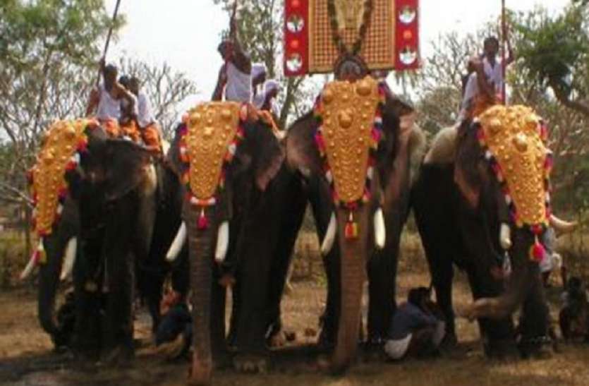 हरिहरक्षेत्र सोनपुर मेले में पहुंचने लगे विदेशी सैलानी हरिहरक्षेत्र सोनपुर मेले में पहुंचने लगे विदेशी सैलानी