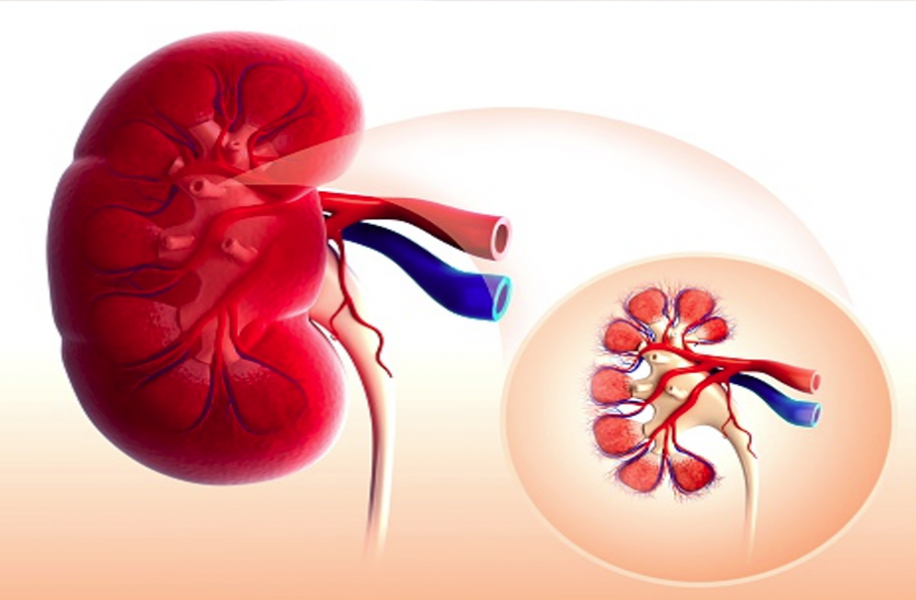 Swelling under the eyes and eyelids, may cause kidney problems Kidney Health: आंखों और पलकों के नीचे सूजन, हाे सकती है किडनी में परेशानी