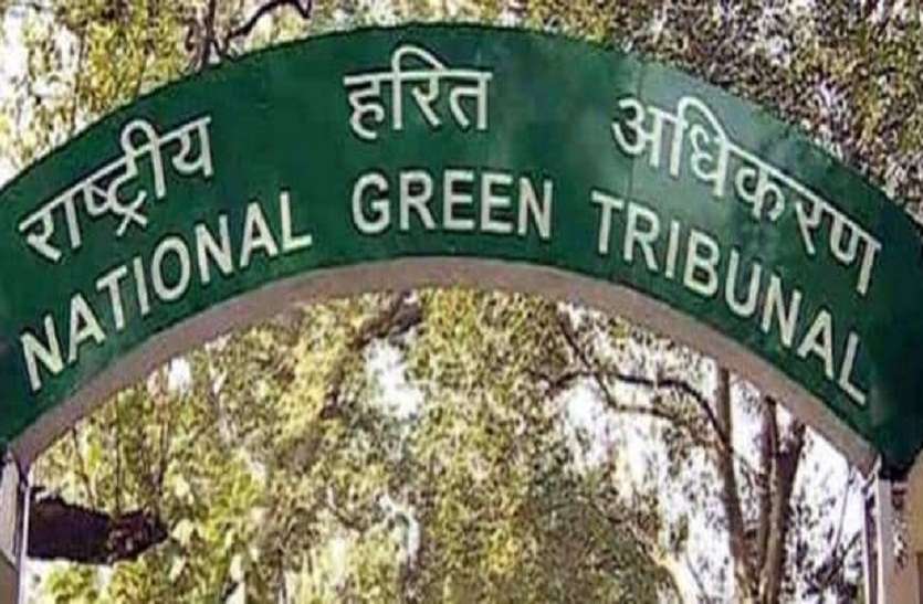 ngt.jpg स्मार्ट सिटी के लिए टीटी नगर में हरियाली उजाडऩे पर एनजीटी ने जिम्मेदारों से मांगा जवाब