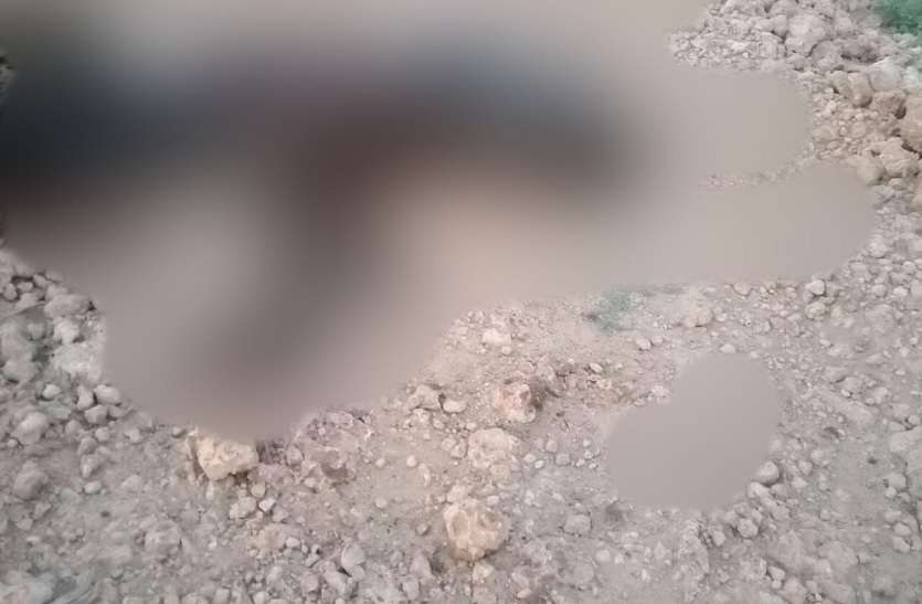 Skeleton of unknown person found in bushes in ramdevra झाड़ियों में मिला अज्ञात व्यक्ति का कंकाल,पुलिस कर रही है शिनाख्तगी के प्रयास