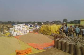paddy procurement: Paddy will be purchased from December 1 एक दिसंबर से खरीदी जाएगी धान, खरीदी केंद्र के लिए कांग्रेस बनाएगी 11 लोगों की कमेटी
