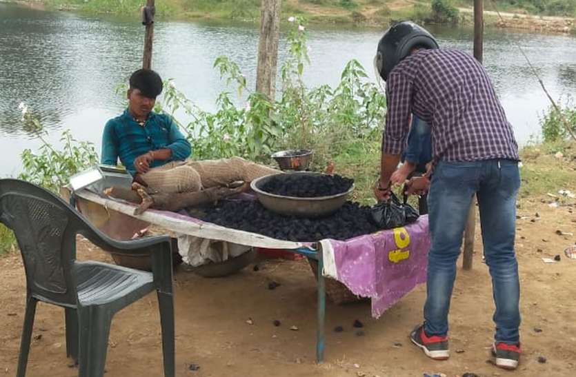 सिंघाड़े ने किसानों को कर दिया मालामाल सिंघाड़े ने किसानों को कर दिया मालामाल