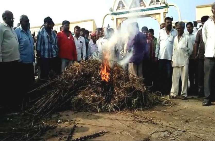 बारिश से नष्ट हुई फसल सड़क पर फेंकी, होली जलाई बारिश से नष्ट हुई फसल सड़क पर फेंकी, होली जलाई