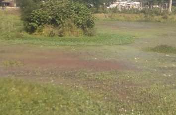 City ponds are in danger नगर के तालाबों का अस्तित्व खतरे में