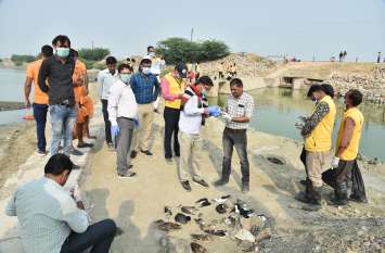 rajasthan in sambhar lake birds died सांभर झील : पंछियों की उड़ान को लगा ग्रहण, अब तक 12 हजार पक्षी दफनाए