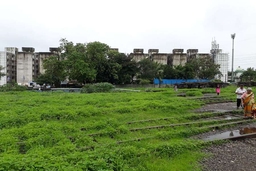 Bhoot बंगला में लोगों को जबरन भेजा गया, बेहद जर्जर हैं इमारतें ?
